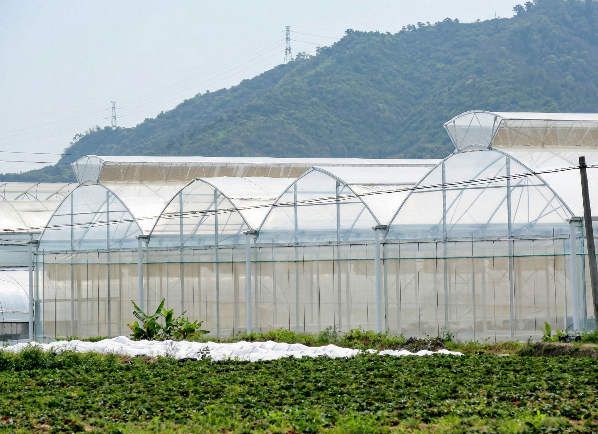 Sky Nova Greenhouse