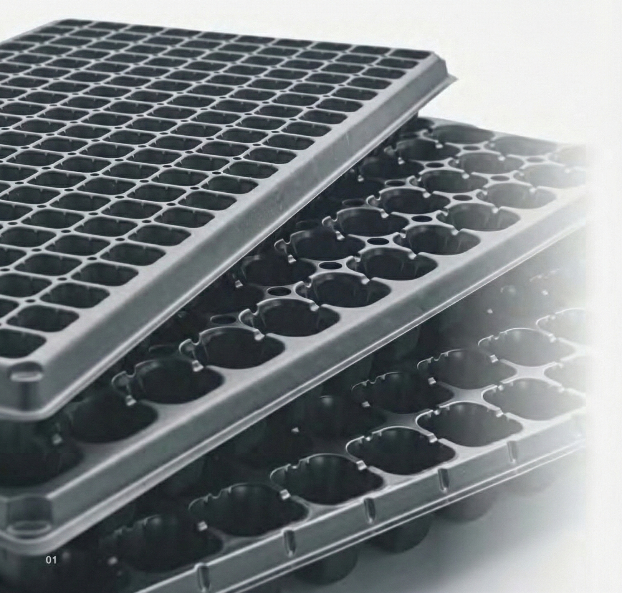 Seeding Trays