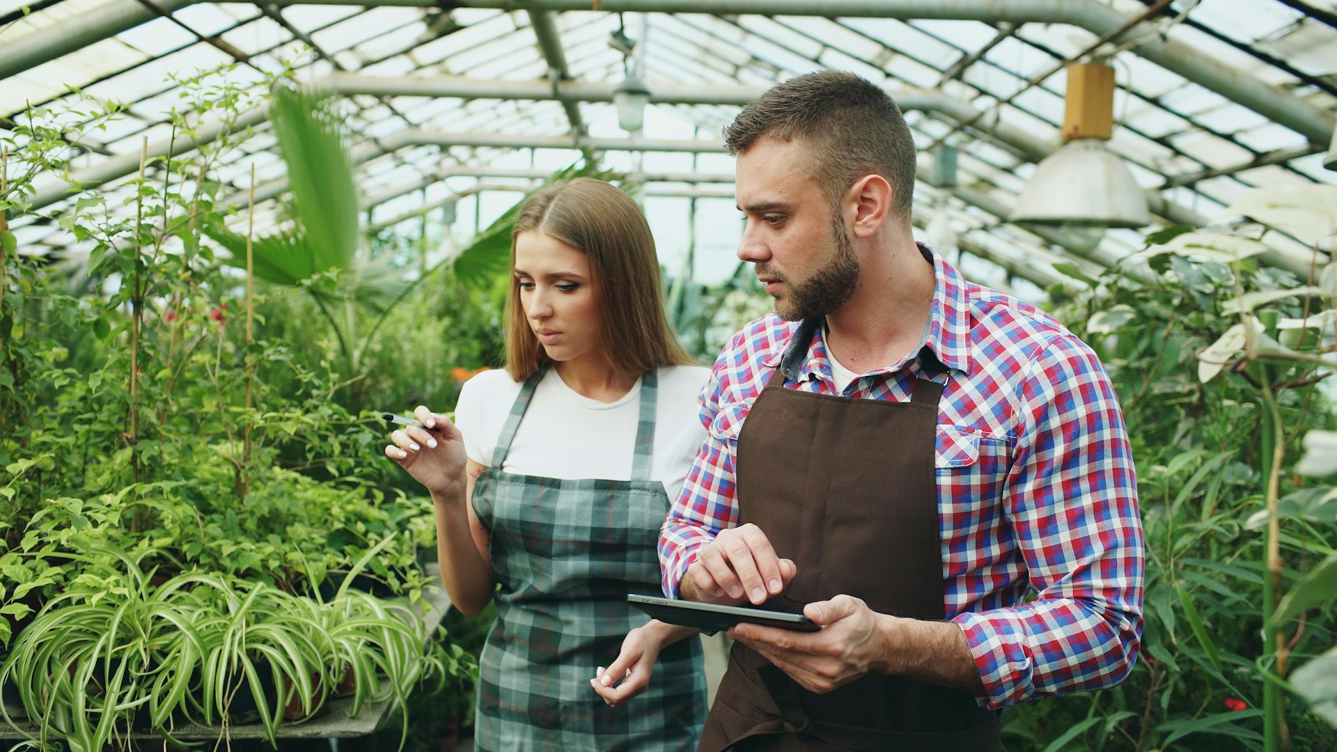 Agronomy Consulting & Training